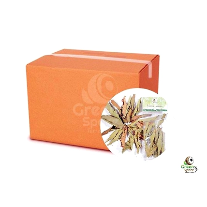 Mix Size Dried Guava Leaves-3