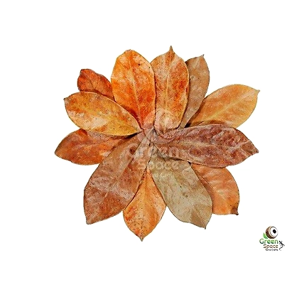 Mix Size Dried Soursop Leaves-1