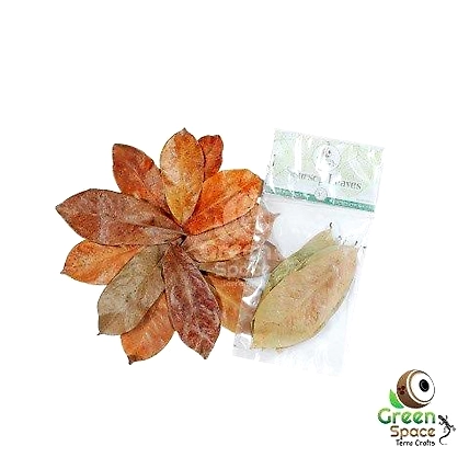Mix Size Dried Soursop Leaves-TR-SPL-10MX-01