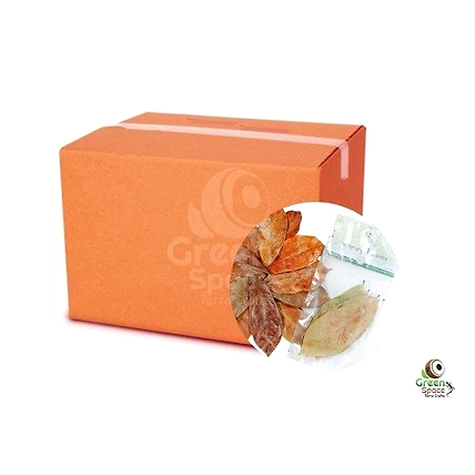 Mix Size Dried Soursop Leaves-3