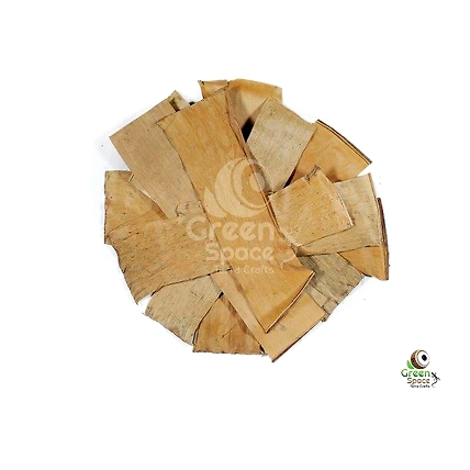 Mix Size Dried Banana Leaves-1