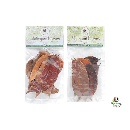 Mix Size Dried Mahogany Leaves-2