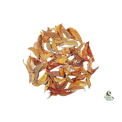 Mix Size Dried Neem Leaves-1