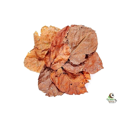 Mix Size Dried Halmilla Leaves-1