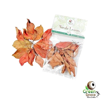 Mix Size Dried Veralu Leaves-TR-VRL-20MX-01