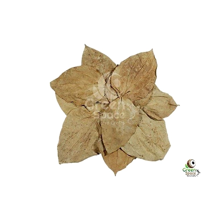 Mix Size Dried Black Pepper Leaves-1