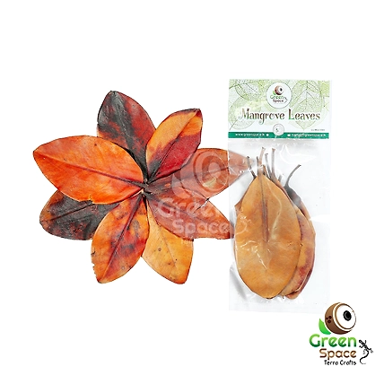 Mix Size Dried Mangrove Leaves-TR-MVL-10MX-01