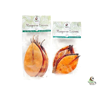 Mix Size Dried Mangrove Leaves-2