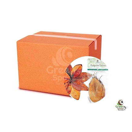 Mix Size Dried Mangrove Leaves-3