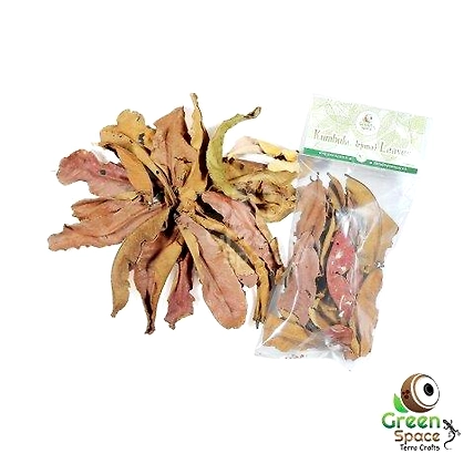 Mix Size Dried Kumbuk Leaves-TR-KBL-15MX-01