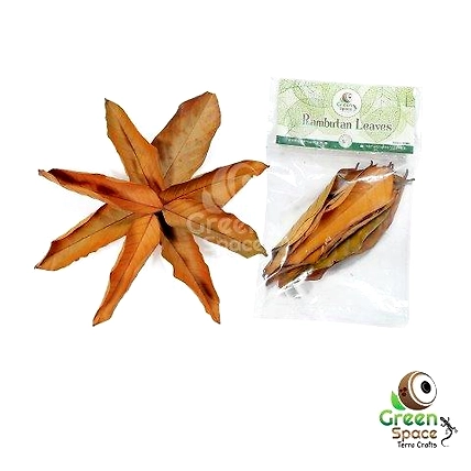 Mix Size Dried Rubber Leaves-TR-RBL-10MX-01