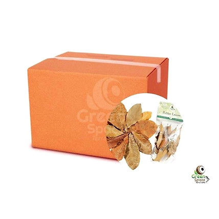 Mix Size Dried Rubber Leaves-3