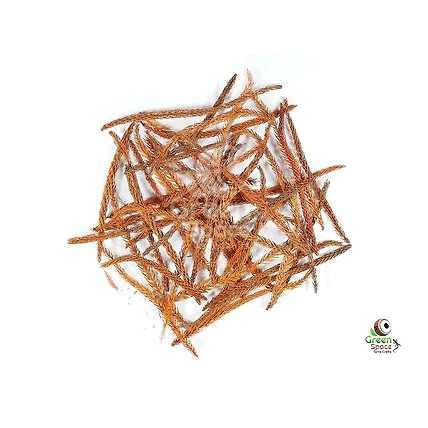 Mix Size Dried Arakeria Leaves-1