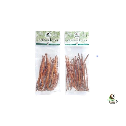 Mix Size Dried Arakeria Leaves-2
