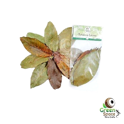 Mix Size Dried Katekela Leaves-TR-KKL-10MX-01