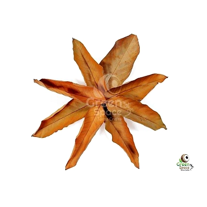 Mix Size Dried Rambutan Leaves-1