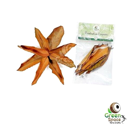 Mix Size Dried Rambutan Leaves-TR-RTL-10MX-01