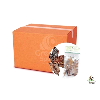 Mix Size Dried Coffee Leaves-3
