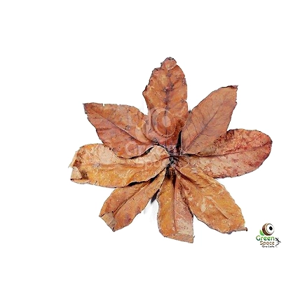 Mix Size Dried Jambu Leaves-1