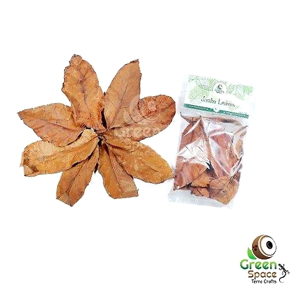 Mix Size Dried Jambu Leaves-TR-JBL-10MX-01
