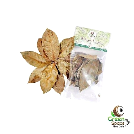 Mix Size Dried Nutmeg Leaves-TR-NGL-20MX-01