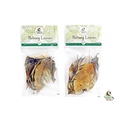 Mix Size Dried Nutmeg Leaves-2