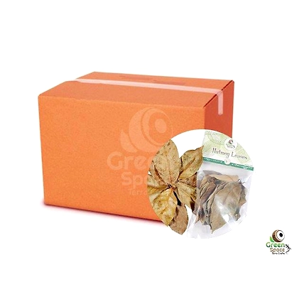 Mix Size Dried Nutmeg Leaves-3