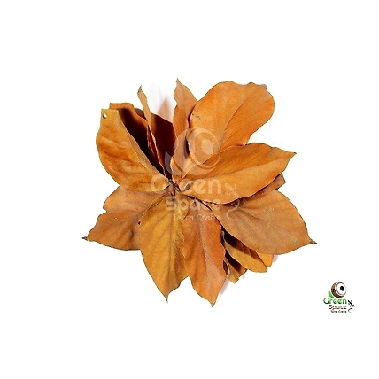 Mix Size Dried Avocado Leaves-1