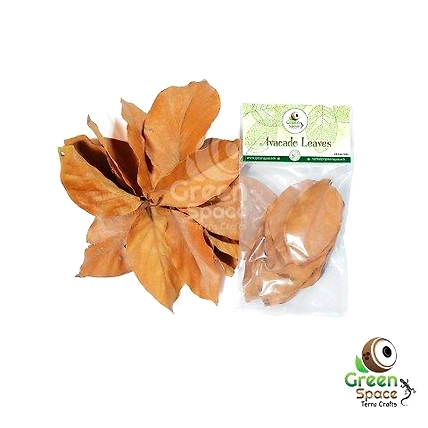 Mix Size Dried Avocado Leaves-TR-AVL-10MX-01
