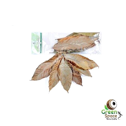 Mix Size Dried Cocoa Leaves-TR-COCL-10MX-01