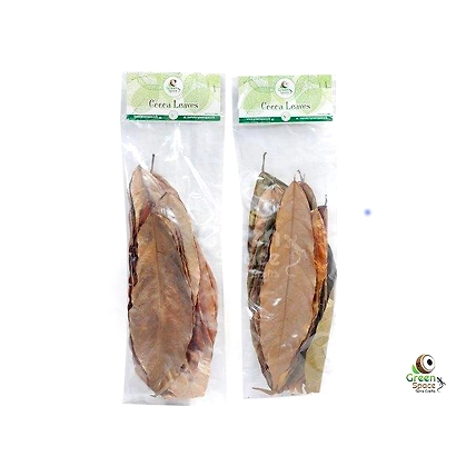 Mix Size Dried Cocoa Leaves-2