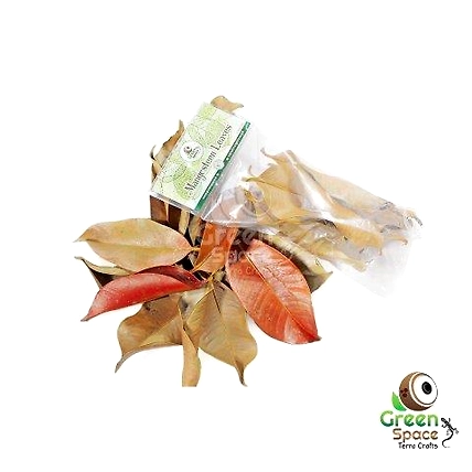 Mix Size Dried Mangus Leaves-TR-MSL-10MX-01