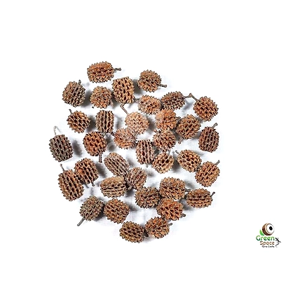 Kasa Tree Pods-1