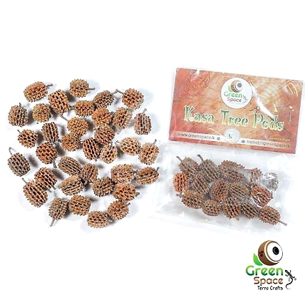 Kasa Tree Pods-TR-KS-15NTS-01