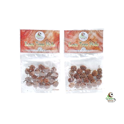 Kasa Tree Pods-2