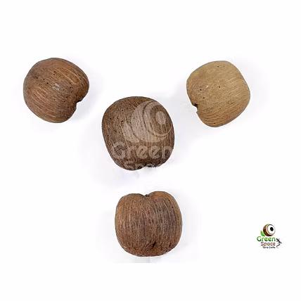 Palmyra Seeds-1