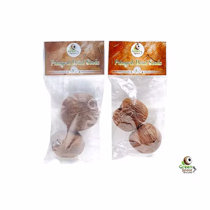 Palmyra Seeds-2