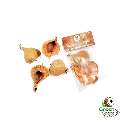 Mangrove Tree Pods-TR-NTP-2TPS-01