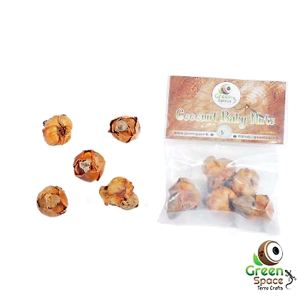 Coconut Baby Nut-TR-CCN-5NTS-01