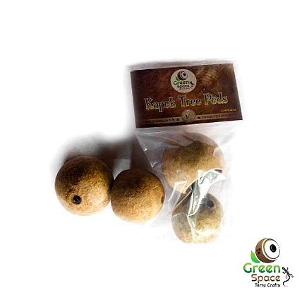 Empty Wood Apple Pods-TR-WAP-3NTS-01