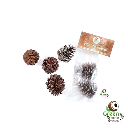 Pines Tree Cones-TR-PTC-2PDS-01