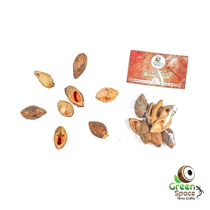Betel Husk-TR-BTH-8PDS-01