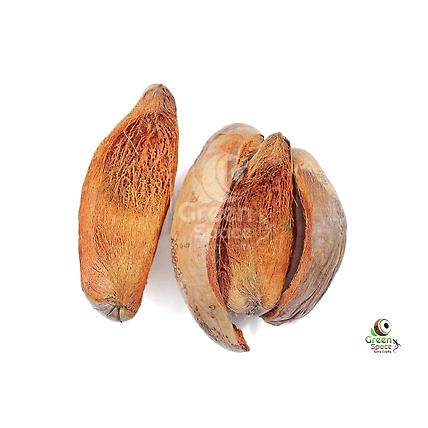 Coconut Husk Slice-1