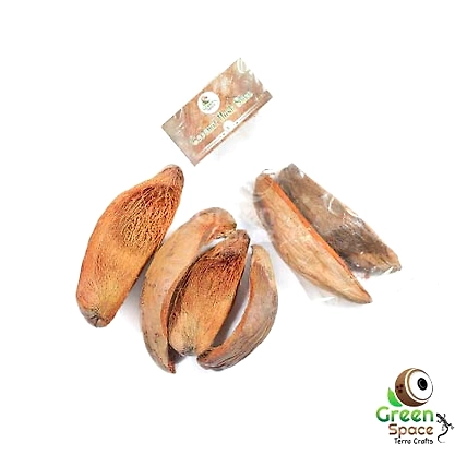 Coconut Husk Slice-TR-CHS-2PDS-01