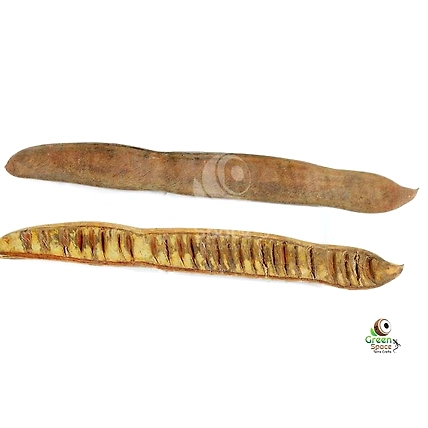 Flamboyant (May) Tree Pods-1