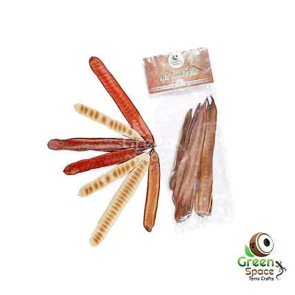 Ipil Tree Pods-TR-IPIL-10TPS-01