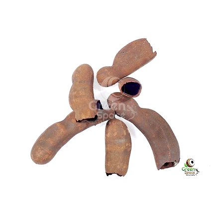 Tamarind Pods-1