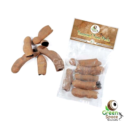 Tamarind Pods-TR-TMR-6PDS-01