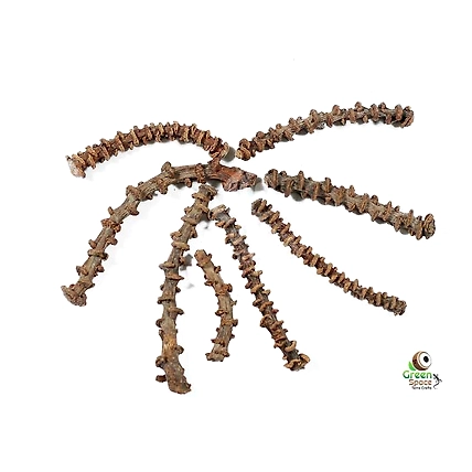 Banana Stem-1