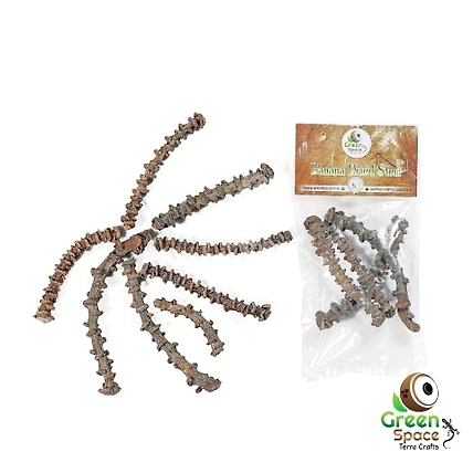 Banana Stem-TR-BNN-4STM-01